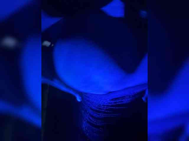 VIP17CoupleDream webcam