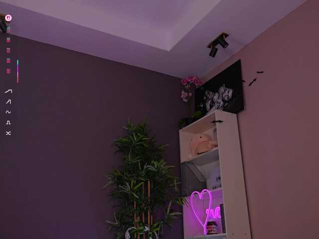 Vesia webcam