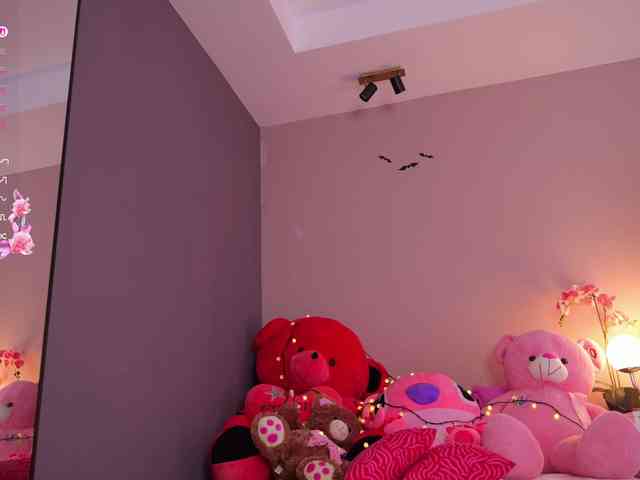 Vesia webcam