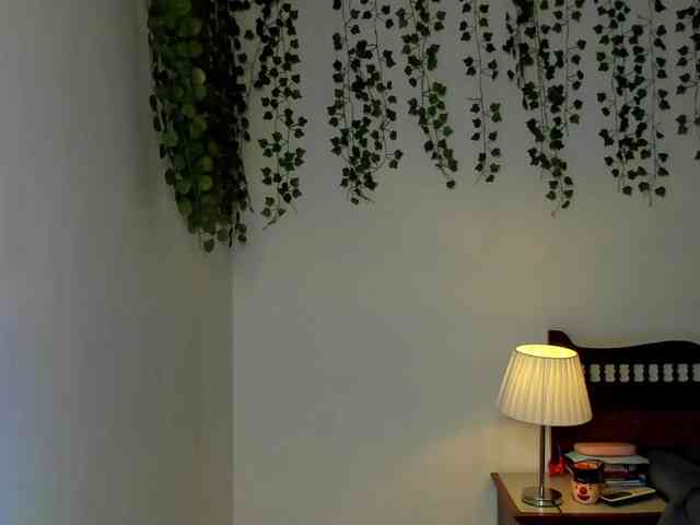 Ariana-Sunset webcam