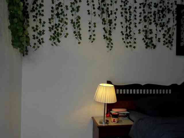 Ariana-Sunset webcam