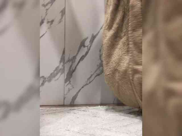 ChristineJackson webcam