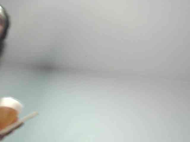 Polet-Lambertt webcam