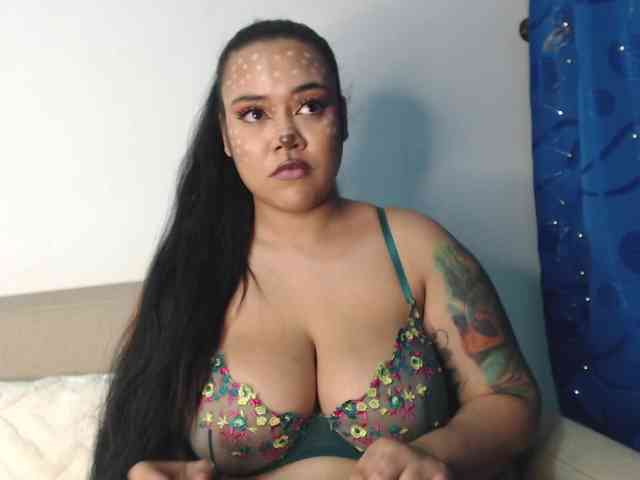 Polet-Lambertt webcam