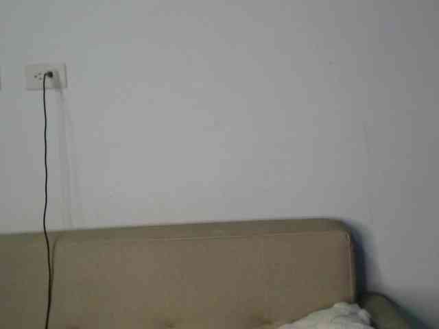 Polet-Lambertt webcam