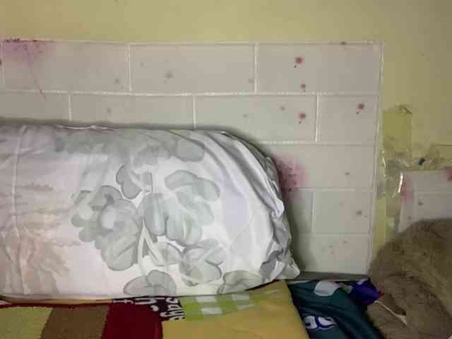 Daisy119 webcam