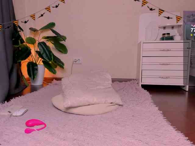 reyniri webcam