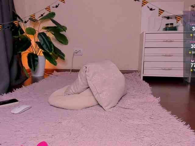 reyniri webcam