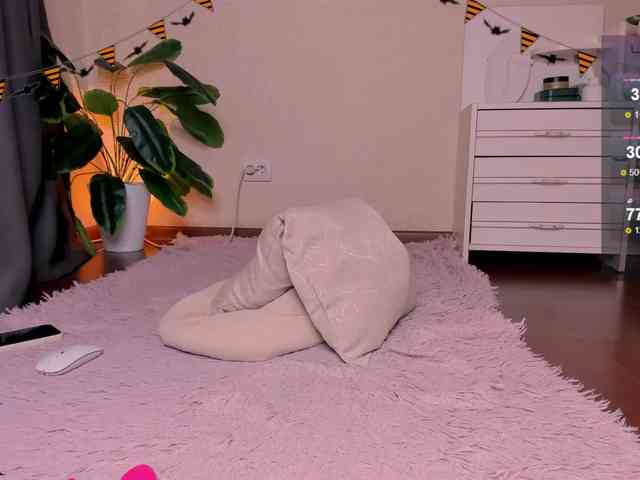 reyniri webcam