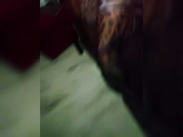 go to chat with DiVona