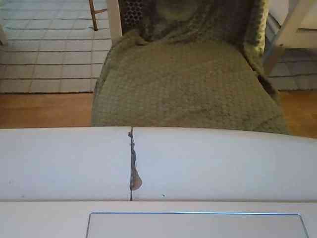 lady111 webcam