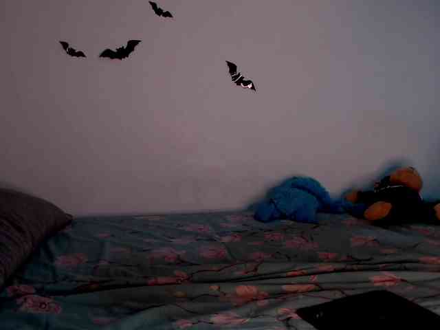 littleowlx webcam