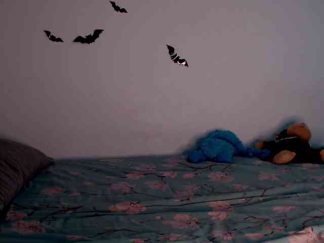 littleowlx webcam