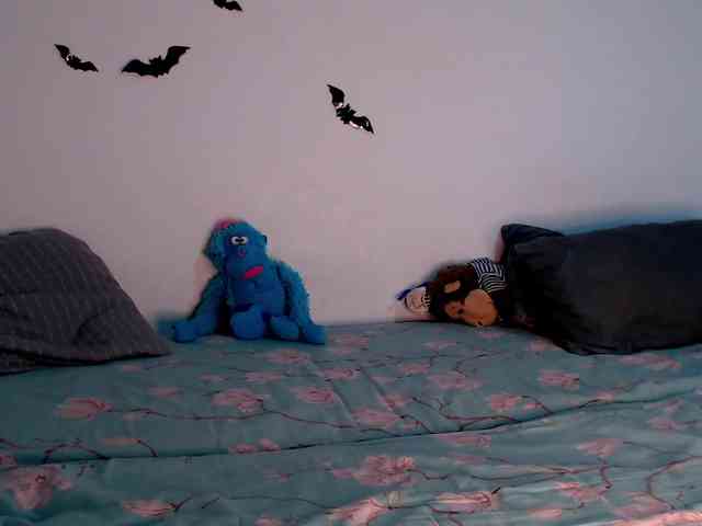 littleowlx webcam