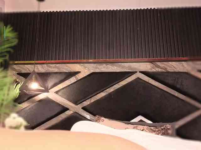 Criistal webcam