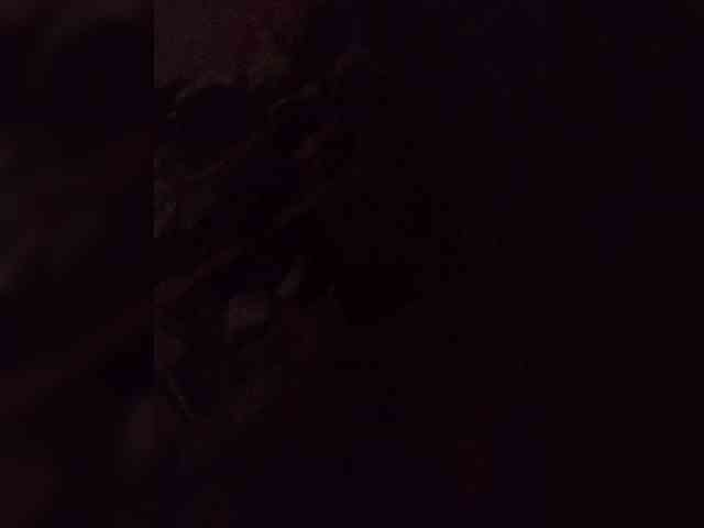 Tiffany29 webcam