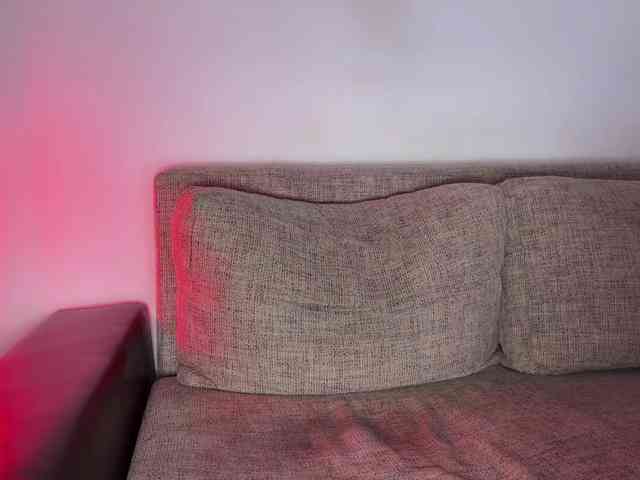 PinkFoxya webcam