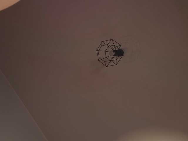 Vai a chattare su -Miray- -Miray-