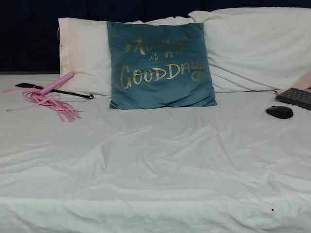 Secretdram-vc webcam