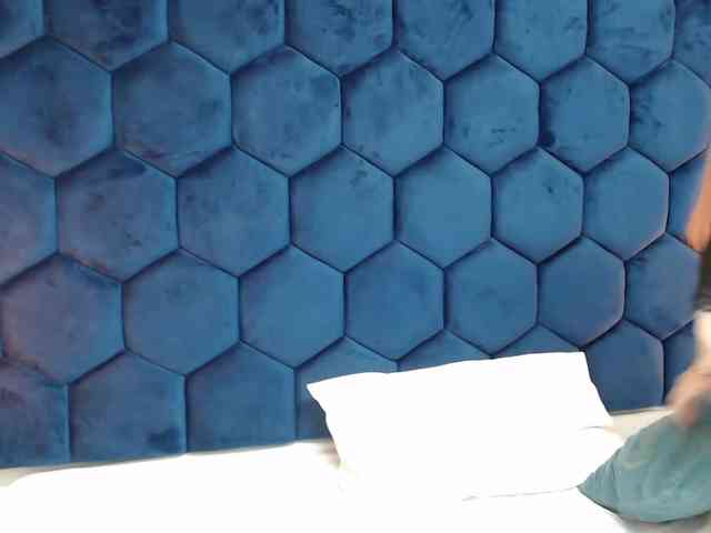 Secretdram-vc webcam