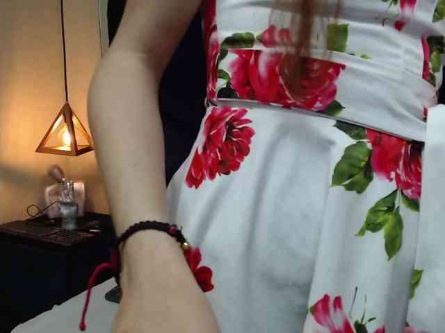 Secretdram-vc webcam