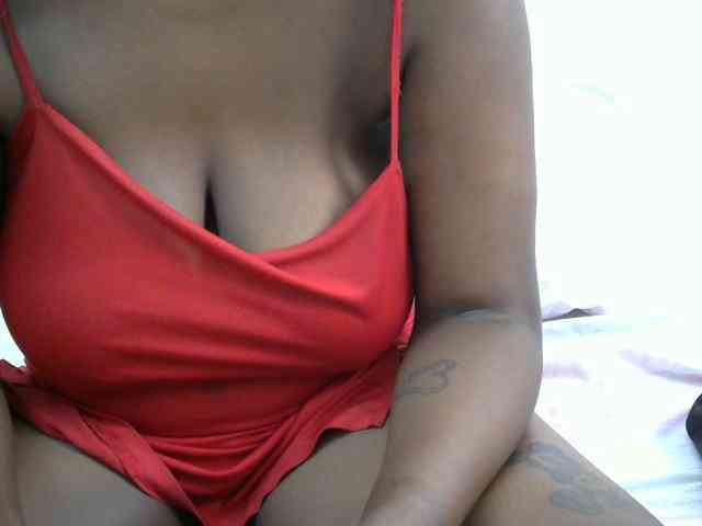 Success500 webcam