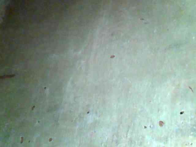Allycha1 webcam