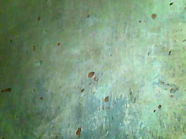 Allycha1 webcam