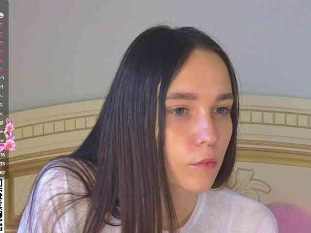 SoftieDream webcam