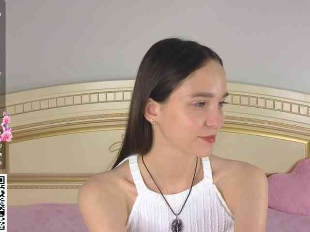 SoftieDream webcam