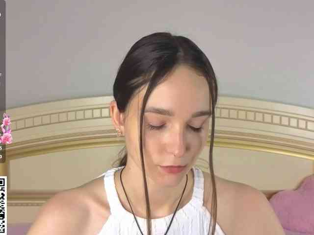 SoftieDream webcam