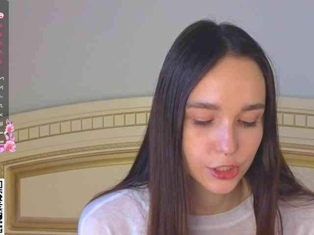 SoftieDream webcam