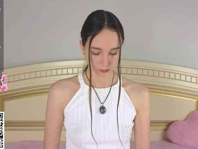 SoftieDream webcam