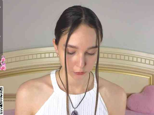 SoftieDream webcam