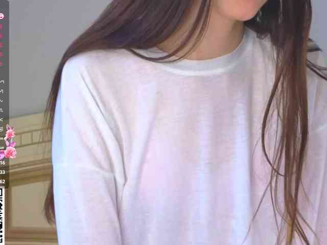 SoftieDream webcam