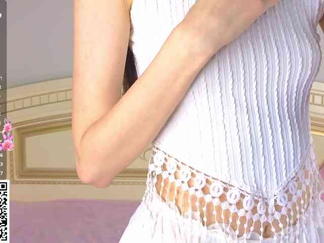SoftieDream webcam