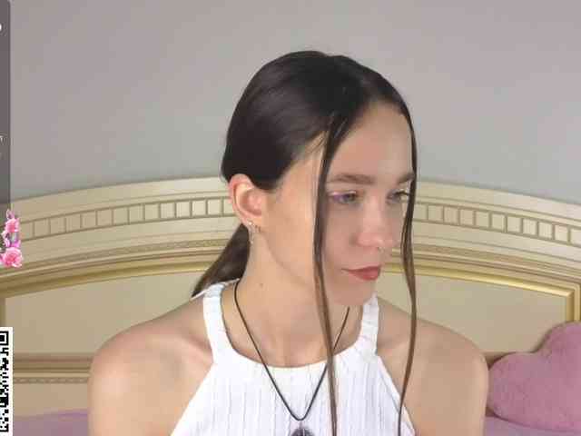 SoftieDream webcam