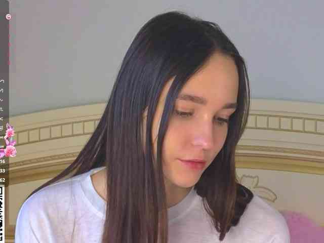 SoftieDream webcam