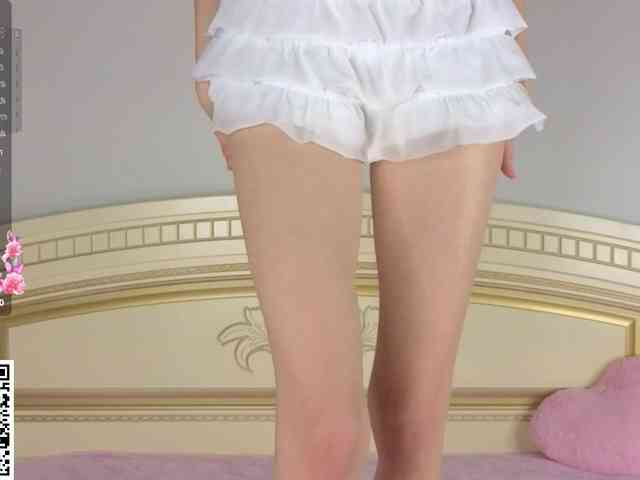 SoftieDream webcam