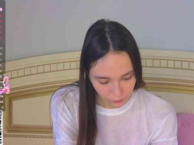 SoftieDream webcam