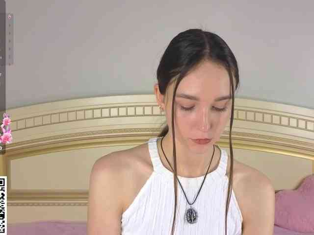 SoftieDream webcam