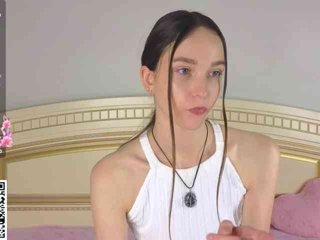 SoftieDream webcam