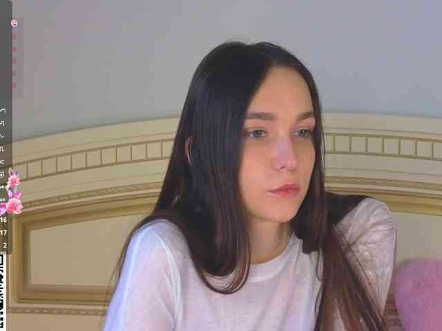 SoftieDream webcam