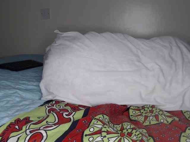 slikypearl webcam