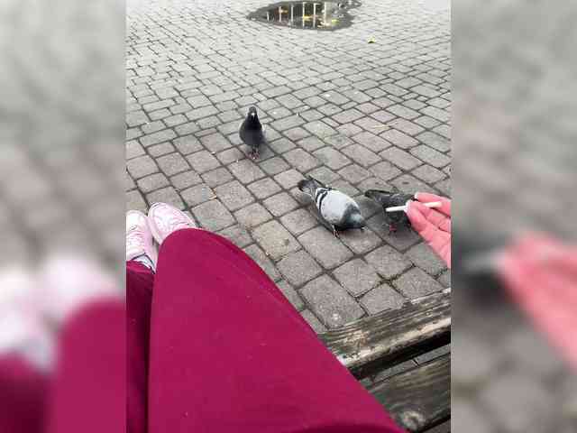 Vishenka69 webcam