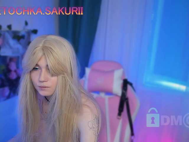 vanslly webcam