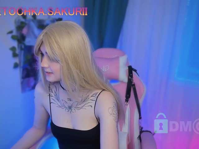 vanslly webcam