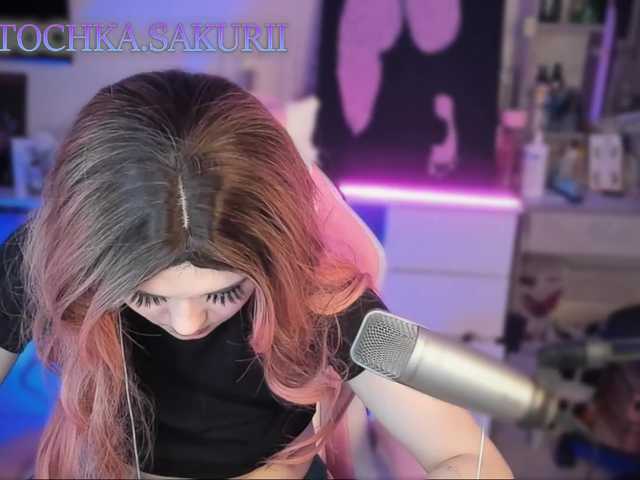 vanslly webcam