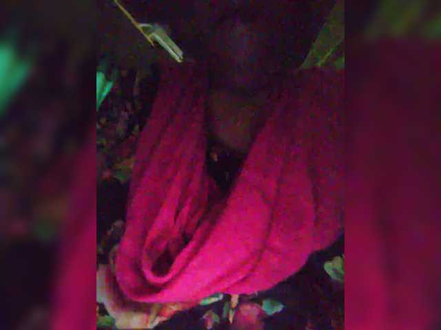 priyakhalifa20 webcam