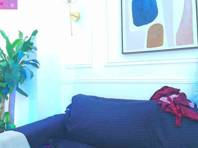 Daisy-Price webcam